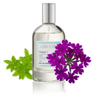 iGroom Perfume Pleasia 1 100ml