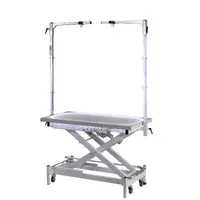 Groomtech Elite PRO Electric Lifting Grooming Table with Light