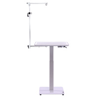 Groomtech Ace Mini PRO Airlift Grooming Table with Light