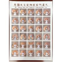 Mr. Jiang Model Dog Demonstration Poster 