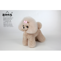 Mr. Jiang Teacup Teddy Full Body Coat / Model Dog [Milk Tea] 067