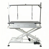 Shernbao Low-Low Electric Lifting Table with Drawers