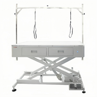 Shernbao Attractive LED Electric Lifting Table with Drawers