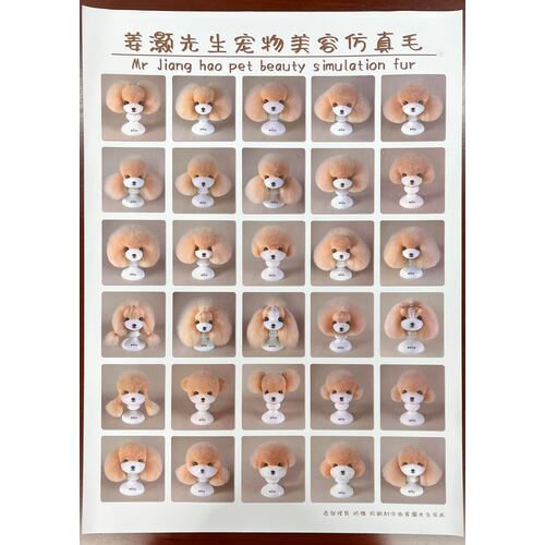 Mr. Jiang Model Dog Demonstration Poster 