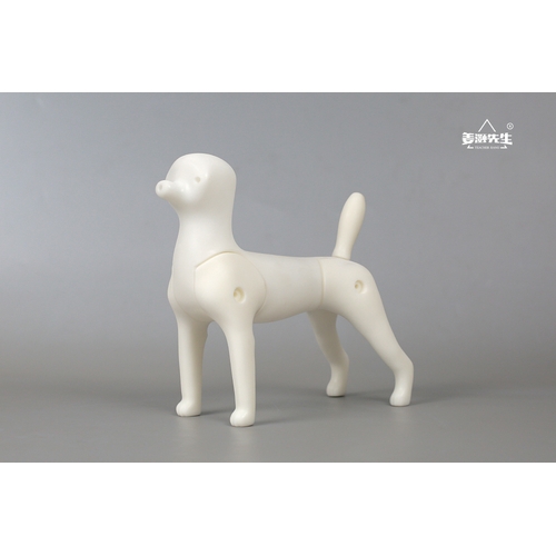 Mr. Jiang Multi-Purpose Small Dog Mannequin / Model Dog 057