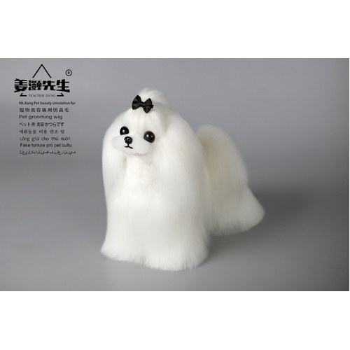 Mr. Jiang Maltese Full Body Coat / Model Dog 061