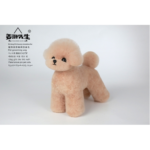 Mr. Jiang Teacup Teddy Full Body Coat / Model Dog [Champagne] 066