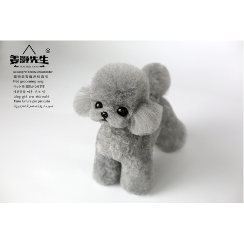 Mr. Jiang Teacup Teddy Full Body Coat / Model Dog [Grey] 065