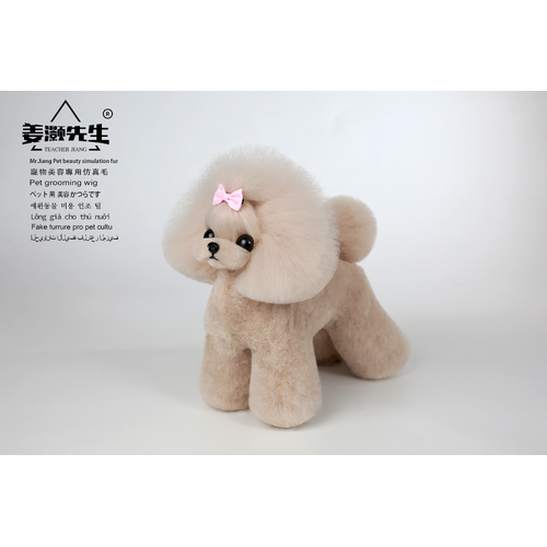 Mr. Jiang Teacup Teddy Full Body Coat / Model Dog [Milk Tea] 067