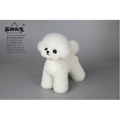 Mr. Jiang Teacup Teddy Full Body Coat / Model Dog [White] 064