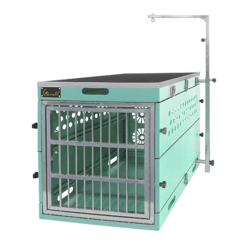 SolidPet Folding Dog Show Aircraft Cage Size 3 - Teal